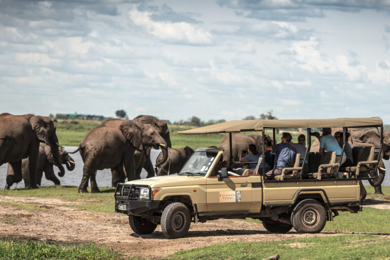 chobe full day trip