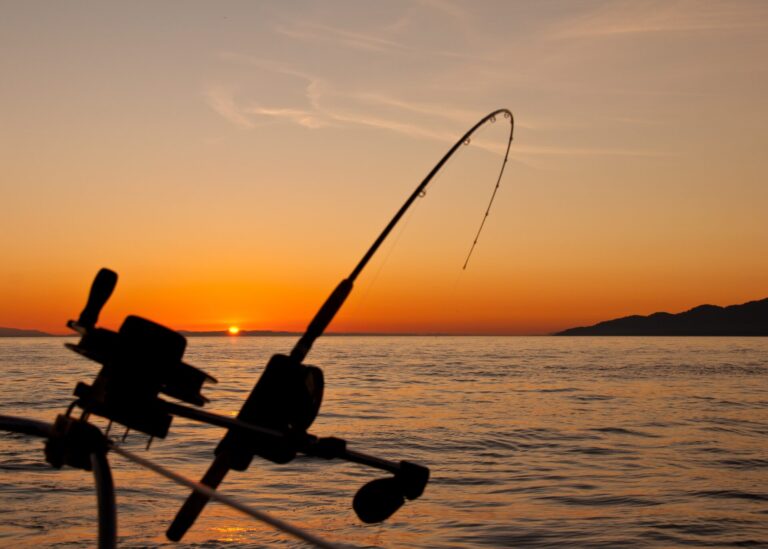 Zambezi river fishing